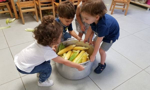 בים בם בם – בסיים מכון וייצמן